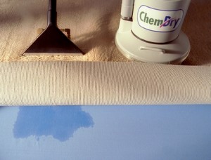 CarpetPeel Chem-Dry franchises blow away the competition