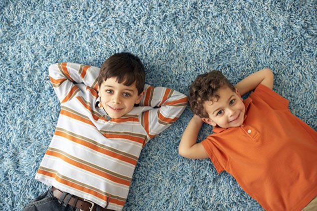 healthycarpetcleaningfranchise1
